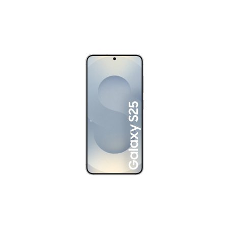 Samsung Galaxy S25